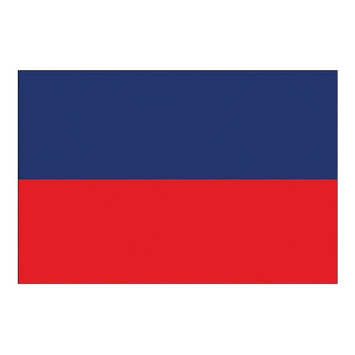 Flag International Code Signal E (30 x 45cm)