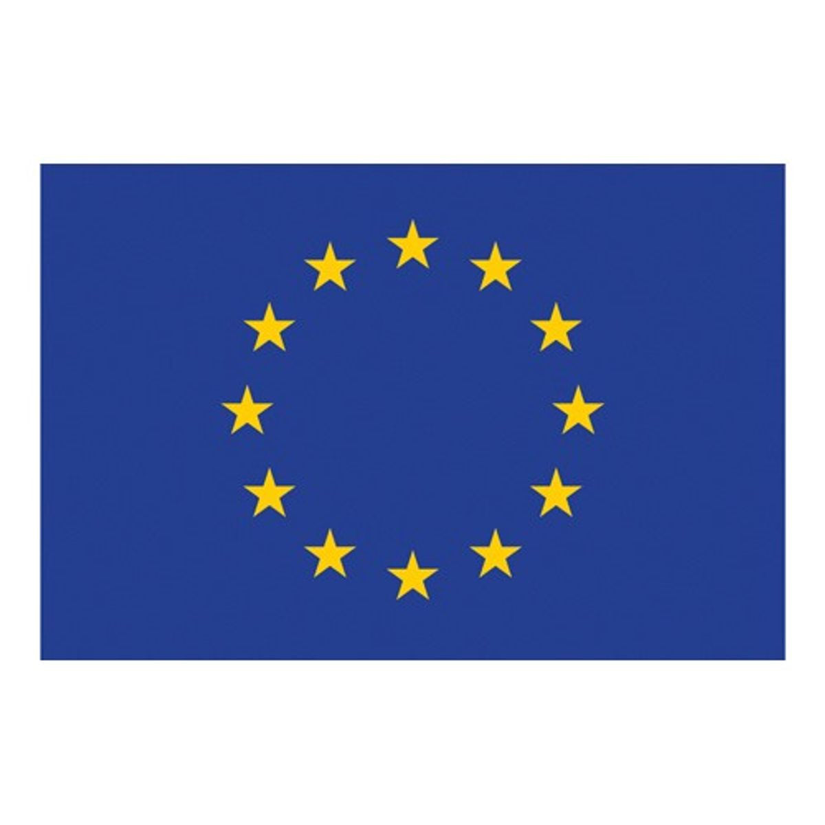 Flag Printed European Community (30 x 45cm)