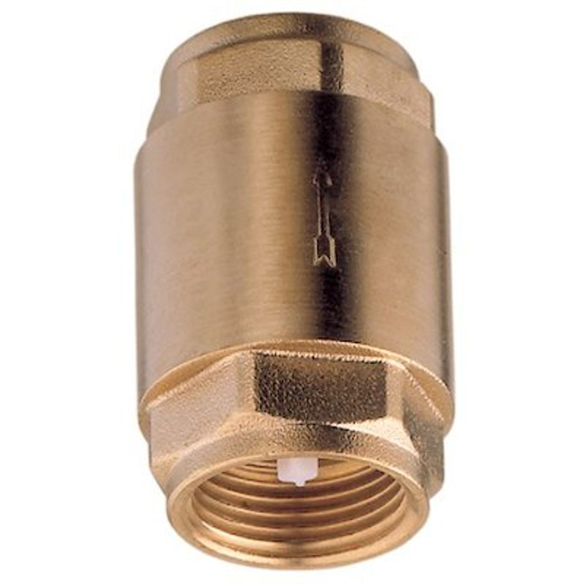 SPRING CHECK VALVE 1 1/2inBSP 1-71405