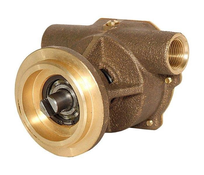 Jabsco 29460-2501 Flexible Impeller Pump BRZ FLG 020