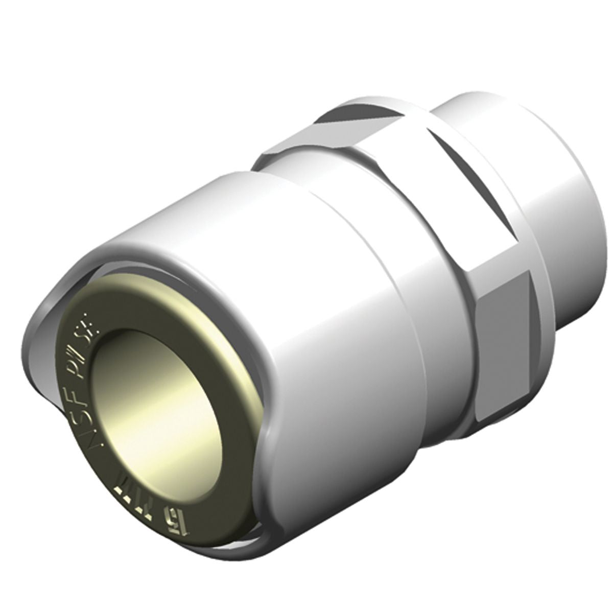 WHALE ADAPTER 1/2inBSP MALE 15MM  W-WX1514B
