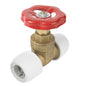 Hepworth HX35 Hep20 22mm Inline Brass Gate Valve White  HX35/22