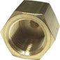 Maestrini Brass Blanking Cap (1/4" BSP Female) 407701