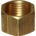 Maestrini Brass Blanking Cap (1" BSP Female) 407705