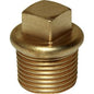 PLUG 1/4in BSP TAPER MALE BRONZE  415751