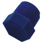 PLASTIC 3/8inBSP BLANKING PLUG  2-20205