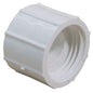 PLASTIC CONNECTOR EQUAL 1in BSPF  3-85093