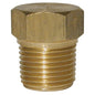 Brass Plug 1/8in BSP Male Taper Thread  1-19720
