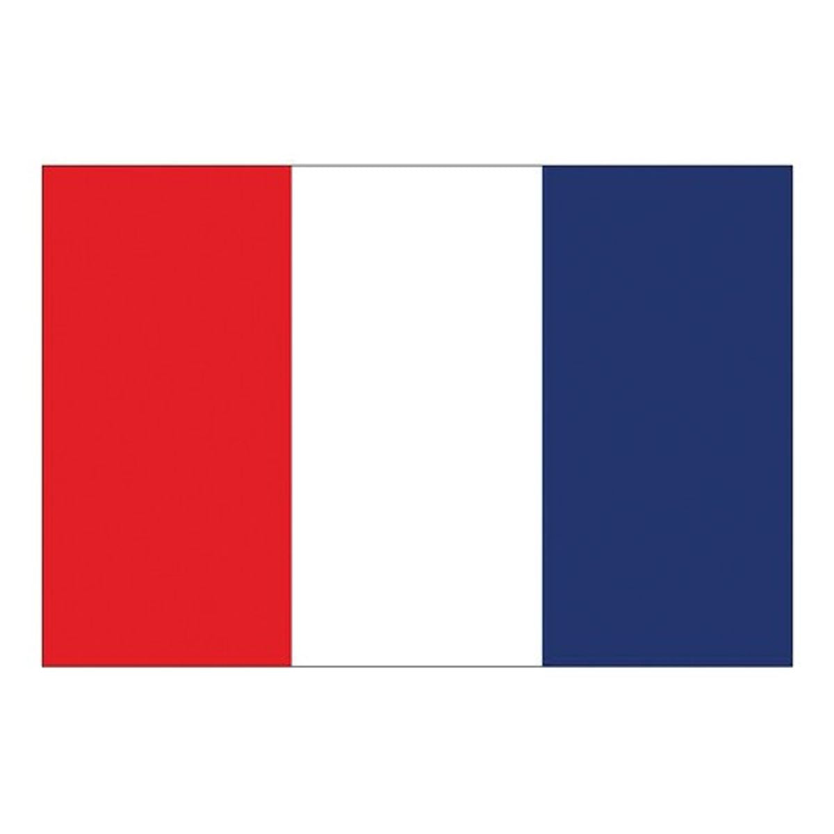Flag International Code Signal T (30 x 45cm)