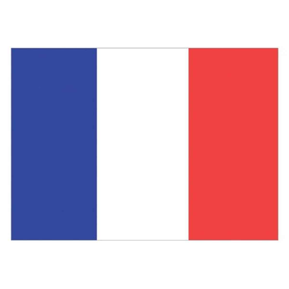 Flag France (30 x 45cm)