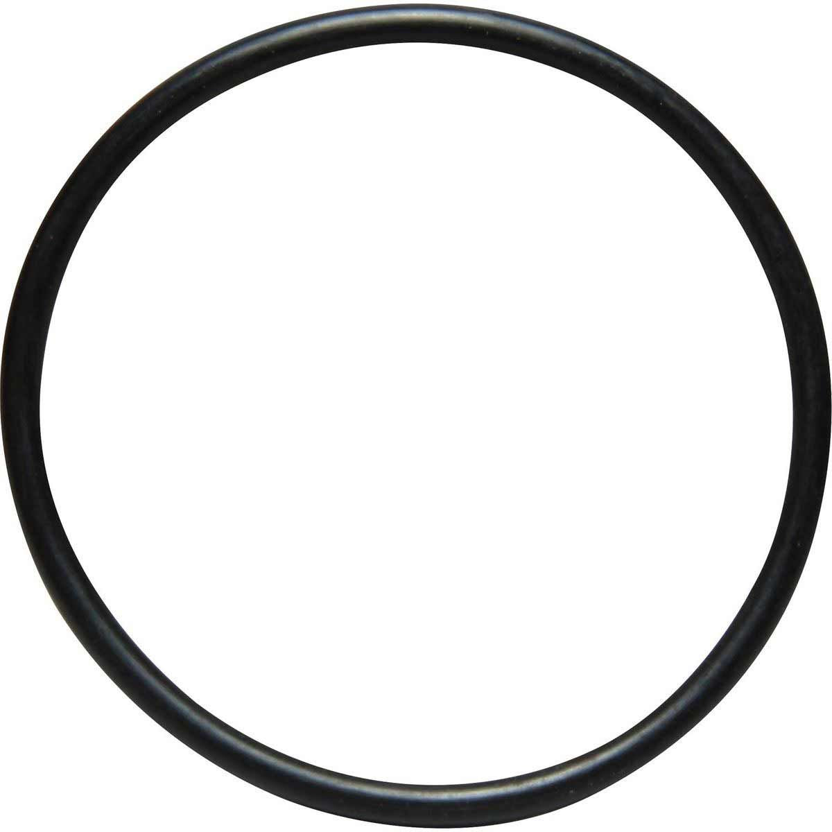 SUREJUST IMMERSION HEATER O RING  SJ-S104