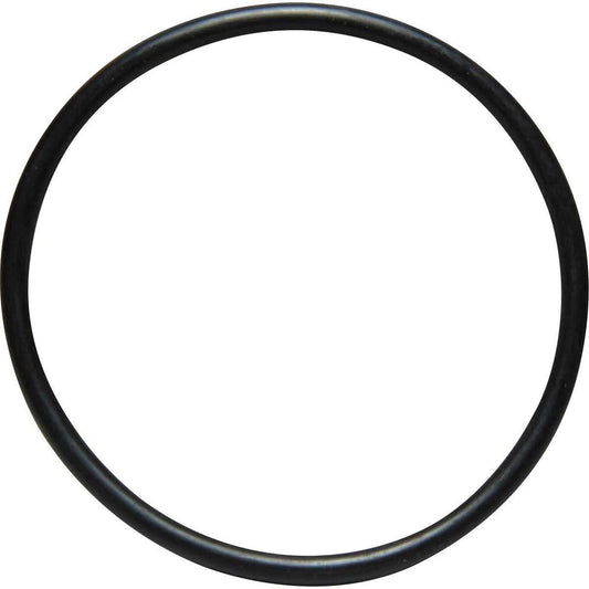 SUREJUST IMMERSION HEATER O RING  SJ-S104