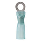 Ancor Heat Shrink Terminal Loop #10 Blue 16-14 AWG (25)