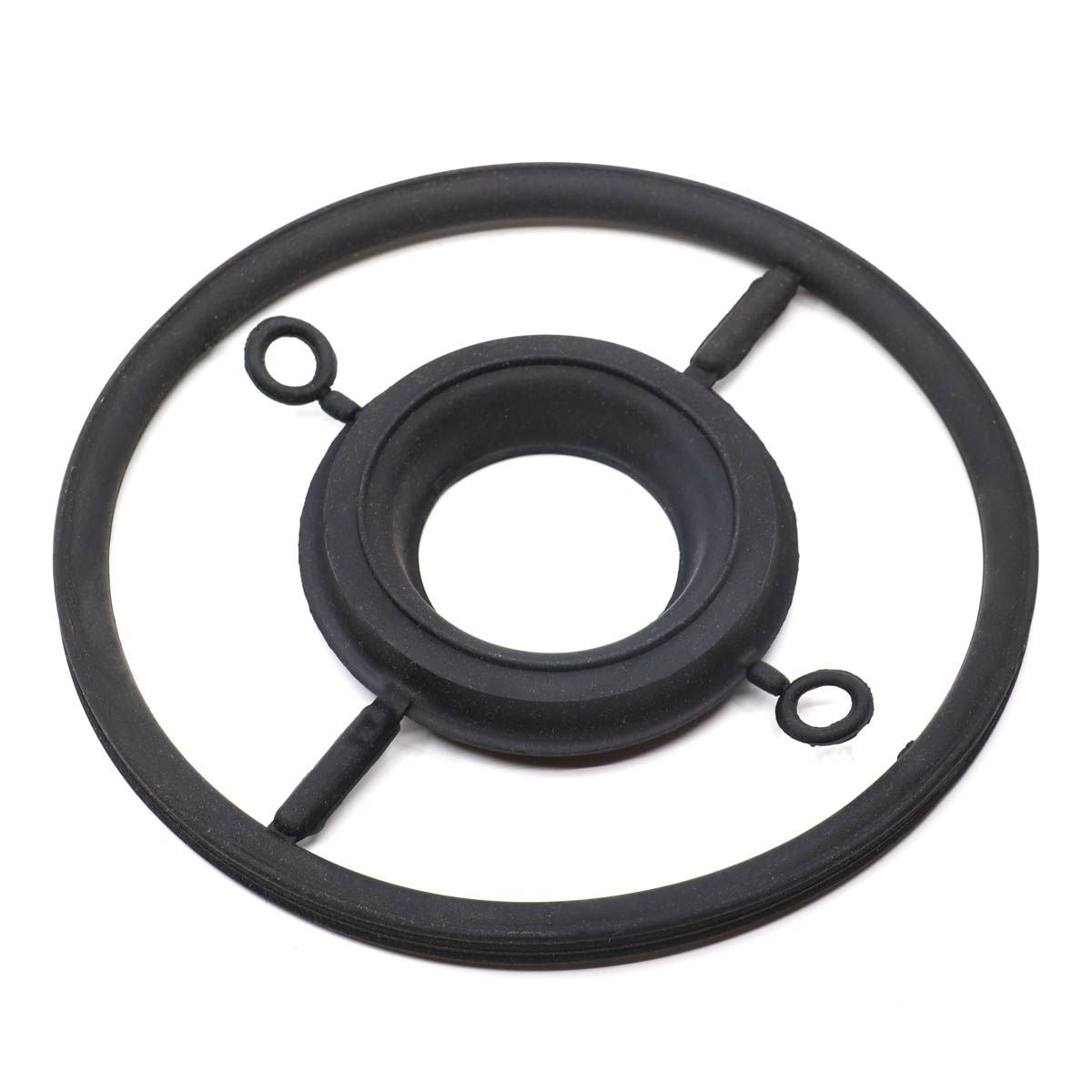 FORESPAR WATER STRAINER GASKET SET ONLY  13-80055-2