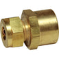 Female Parallel Stud Coupling 3/8in Tube x 1/2in BSP  1-17080