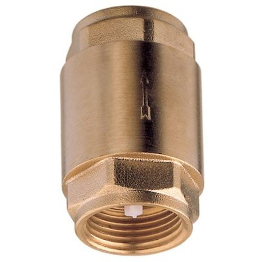 AG Spring Check Valve 1/2" BSP Female 1-71401
